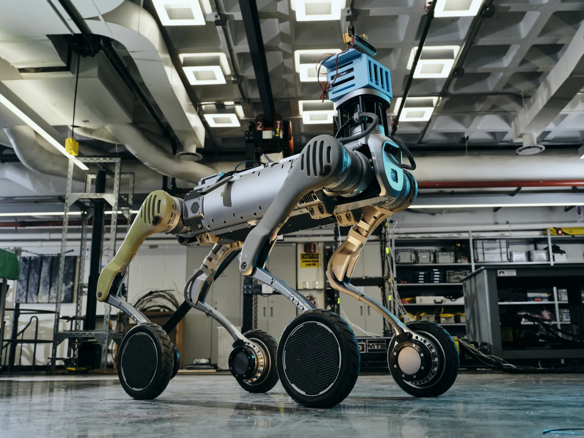 Robot dog